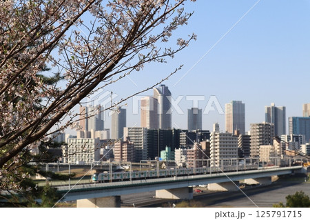 多摩川台公園から眺める東急東横線と武蔵小杉界隈 125791715