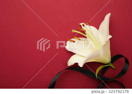 White liles flowers with black ribbon on dark red background. Mourning or funeral background. Top view White liles flowers with black ribbon on dark red background. Mourning or funeral background. Top view 125792179