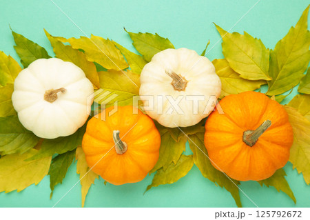 Autumn harvest with leaves and pumpkins on mint background. Autumn harvest with leaves and pumpkins on mint background. 125792672