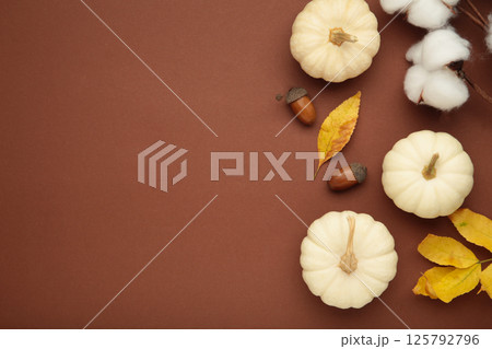 White pumpkins with leaves on brown background. Fall autumn minimal concept. Flat lay, top view. 125792796
