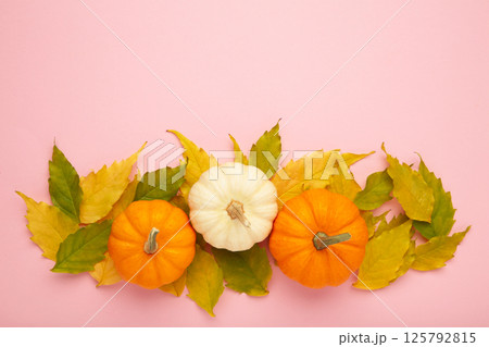 Autumn harvest with leaves and pumpkins on pink background. 125792815