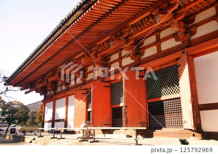 京都府　東寺・講堂（重要文化財） 京都市 南区 九条町　2022年2月 125792969