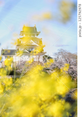 桜に包まれた春の城 125792978
