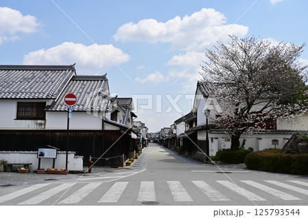 河原町妻入商家郡の建造物保存地区(兵庫県丹波篠山市) 河原町妻入商家郡の建造物保存地区(兵庫県丹波篠山市) 125793544