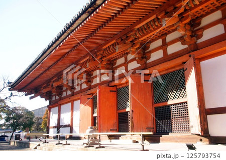 京都府 東寺・講堂(重要文化財) 京都市 南区 九条町 2022年2月 京都府 東寺・講堂(重要文化財) 京都市 南区 九条町 2022年2月 125793754