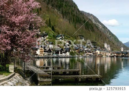 Hallstatt Austria. Alpine Village with Cherry Blossom Trees 125793915
