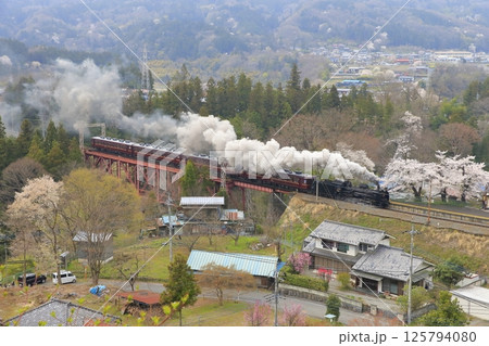 春の秩父鉄道SL 125794080