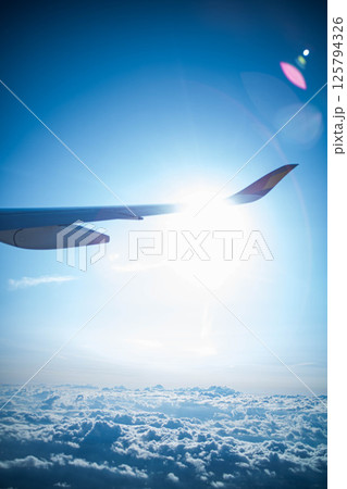飛行機からの景色(日中) 125794326