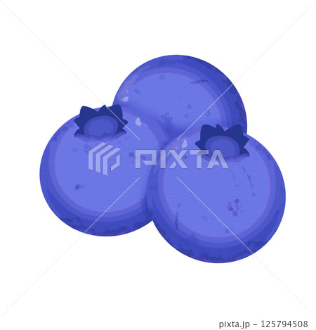 3粒のブルーベリー/果物イラスト素材 3粒のブルーベリー/果物イラスト素材 125794508