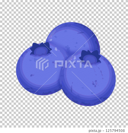 3粒のブルーベリー/果物イラスト素材 3粒のブルーベリー/果物イラスト素材 125794508
