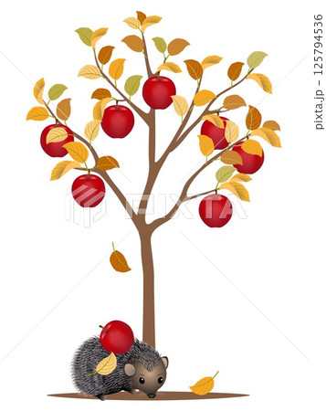Autumn tree with red apples and a hedgehog on a white background. Autumn tree with red apples and a hedgehog on a white background. 125794536