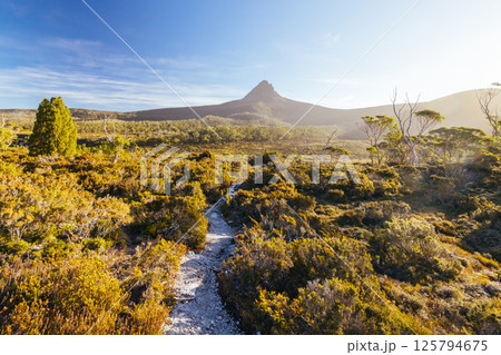 Barn Bluff Sunset View in Tasmania Australia 125794675