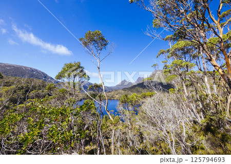 Lake Lilla at Cradle Mountain in Tasmania Australia Lake Lilla at Cradle Mountain in Tasmania Australia 125794693