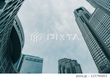 曇天の東京都庁 125794801
