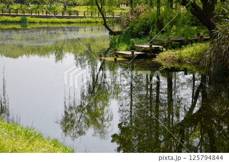 a wooden steps by a small river 125794844