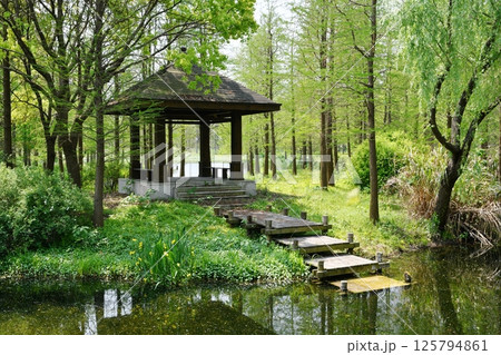 a traditional Chinese style pavilion in the woods by the small river 125794861