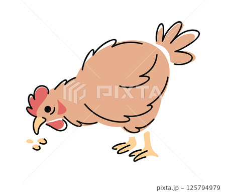 Hen pecking grains hand drawn 125794979