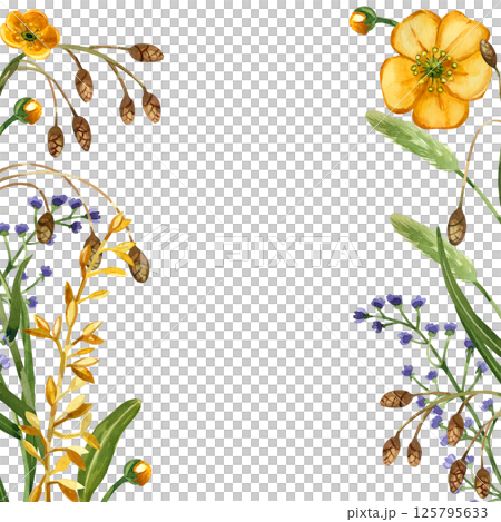 Yellow buttercups, purple wildflowers, cereal plants, timothy grass in a square frame. All objects are hand-painted with watercolors. Watercolor illustration. For printing on postcards, invitations. Yellow buttercups, purple wildflowers, cereal plants, timothy grass in a square frame. All objects are hand-painted with watercolors. Watercolor illustration. For printing on postcards, invitations. 125795633