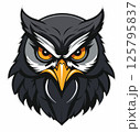 owl 125795837