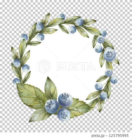 Light green round frame with blueberry leaves and berries in a realistic style. Watercolor illustration isolated on white background. For decoration of posters, cards, invitations Light green round frame with blueberry leaves and berries in a realistic style. Watercolor illustration isolated on white background. For decoration of posters, cards, invitations 125795995