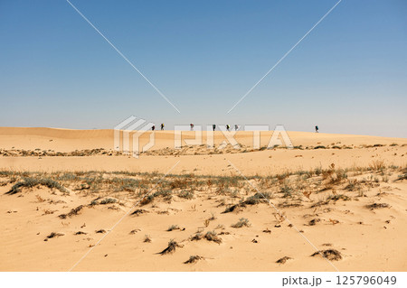Backpackers walking on a sand dune in the desert. Chara sands, group of tourists 125796049
