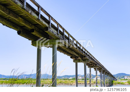 静岡県島田市　蓬莱橋 125796105