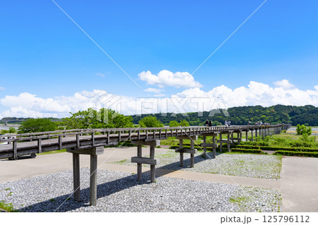 静岡県島田市　蓬莱橋 125796112