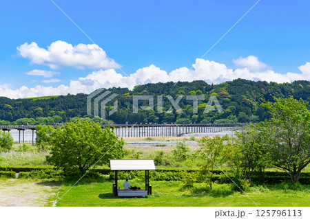 静岡県島田市　蓬莱橋 125796113