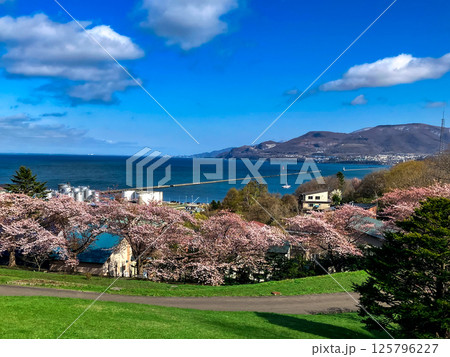 小樽にある手宮公園の春風景 125796227