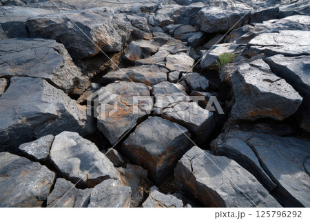 Cracked rocky terrain with visible plant growth, showcasing rugged natural textures and earthy tones. scene captures resilience of nature amidst harsh conditions 125796292