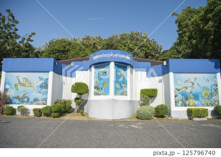 THAILAND CHONBURI SATTAHIP TURTLE PARK 125796740