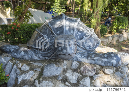 THAILAND CHONBURI SATTAHIP TURTLE PARK THAILAND CHONBURI SATTAHIP TURTLE PARK 125796741