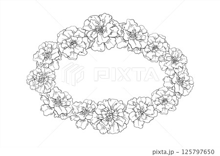 Vector Marigold flower head oval wreath with copy space for text. Monochrome blooming tagetes flowers etching drawing. Floral border for Diwali decorations, Day of the Dead ofrendas, festival posters. Vector Marigold flower head oval wreath with copy space for text. Monochrome blooming tagetes flowers etching drawing. Floral border for Diwali decorations, Day of the Dead ofrendas, festival posters. 125797650