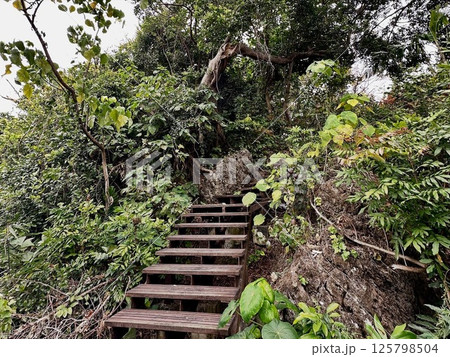 龜山登山步道 龜山登山步道 125798504