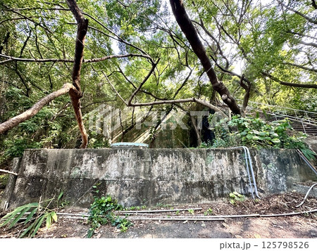 龜山登山步道 龜山登山步道 125798526