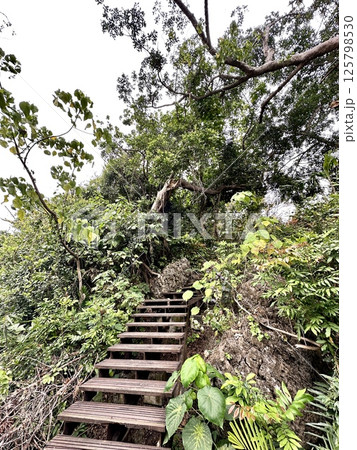 龜山登山步道 125798530