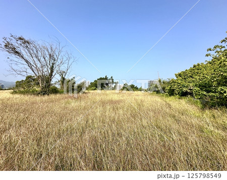 龜山登山步道 龜山登山步道 125798549