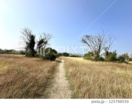 龜山登山步道 125798550