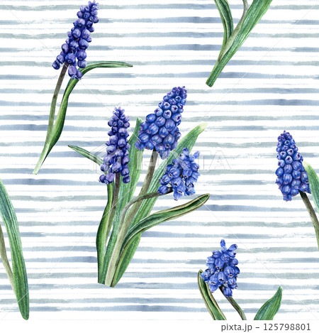 Hand drawn watercolor seamless pattern with blue grape hyacinth, muscari flowers on horizontal brush strokes background. For wrapping wallpaper fabric textile Hand drawn watercolor seamless pattern with blue grape hyacinth, muscari flowers on horizontal brush strokes background. For wrapping wallpaper fabric textile 125798801