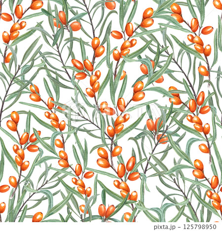 Watercolor Nordic sea buckthorn berries seamless pattern isolated background. Intertwining branches with berry and green leaves ornate for autumn recipe books, rustic kitchen designs, wall decor 125798950