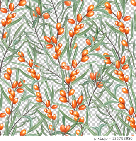 Watercolor Nordic sea buckthorn berries seamless pattern isolated background. Intertwining branches with berry and green leaves ornate for autumn recipe books, rustic kitchen designs, wall decor 125798950
