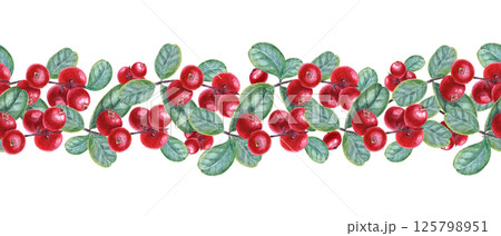 Watercolor cowberries with leaves and berry seamless banner isolated background. Forest Nordic red berries on branches for recipe books, health blogs, holiday gifts, Christmas, Thanksgiving textile 125798951