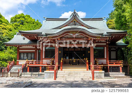 吉祥寺 武蔵野八幡宮 吉祥寺 武蔵野八幡宮 125799083