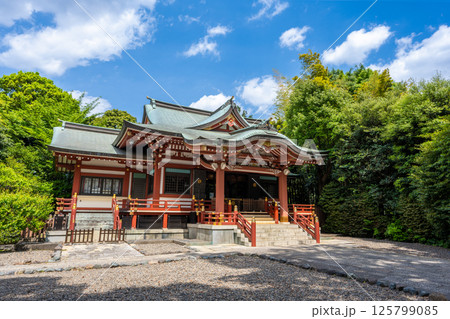 吉祥寺　武蔵野八幡宮 125799085