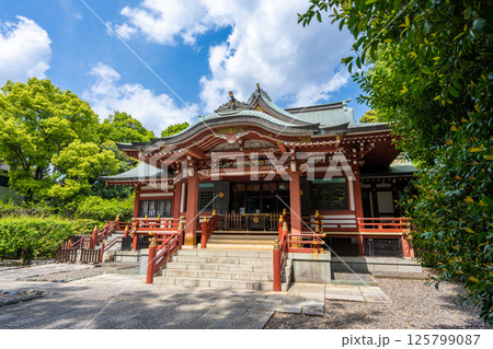 吉祥寺　武蔵野八幡宮 125799087