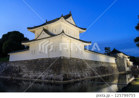 京都 二条城の夜景 東南隅櫓と東大手門 (京都府京都市中京区) 125799755