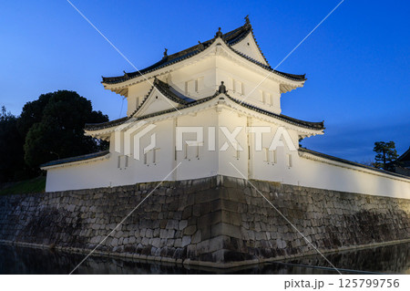 京都 二条城の夜景 東南隅櫓 (京都府京都市中京区) 125799756