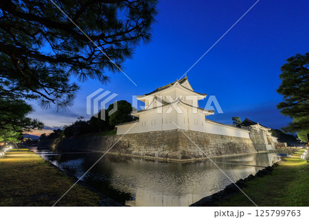 京都 二条城の夜景 東南隅櫓と東大手門 (京都府京都市中京区) 125799763