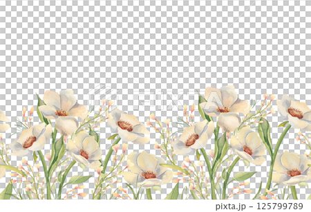 Botanical repeat border with soft creamy flowers and subtle green leaves isolated on white. Watercolor wild roses and wildflowers hand drawn for surface design, scrapbook paper, seamless background. Botanical repeat border with soft creamy flowers and subtle green leaves isolated on white. Watercolor wild roses and wildflowers hand drawn for surface design, scrapbook paper, seamless background. 125799789