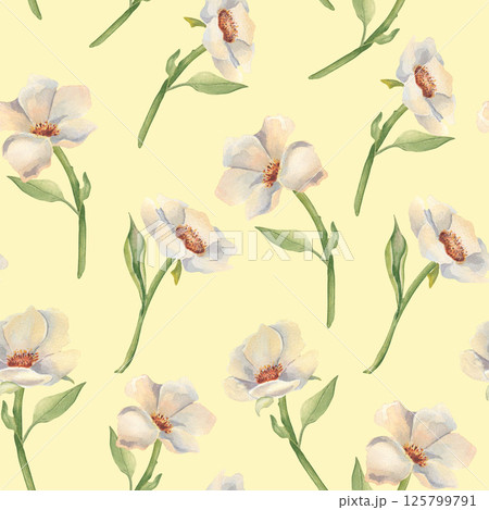 Seamless floral pattern of ivory peonies, anemones on stems and soft green leaves watercolor hand painted. Botanical repeat background for wedding stationery, fabric prints, and feminine designs. 125799791